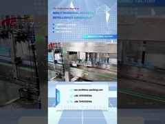 Máquina de embalagem de caixas